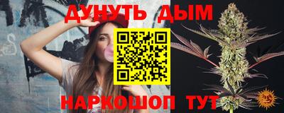 spice Обь