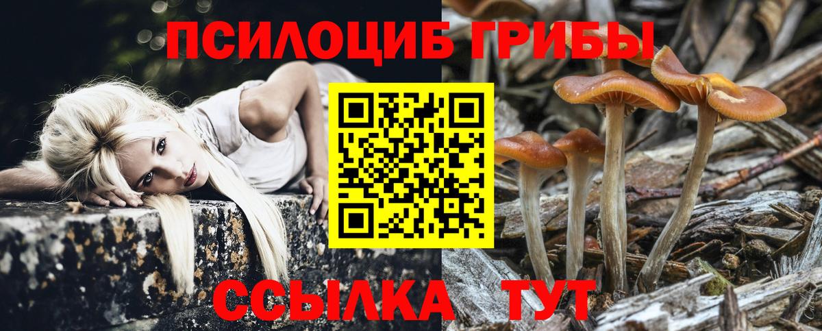 закладка  Галлюциногенные грибы MAGIC MUSHROOMS  Волоколамск  Вход с VPN  Псилоцибиновые грибы GOLDEN TEACHER 