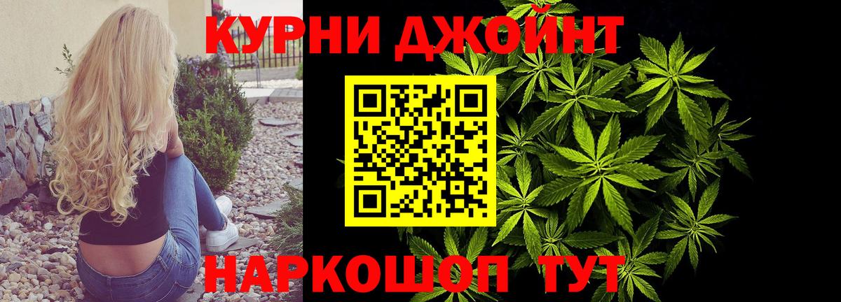 Конопля семена Волоколамск